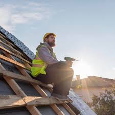 Best Green or Eco-Friendly Roofing Solutions  in Raleigh, NC